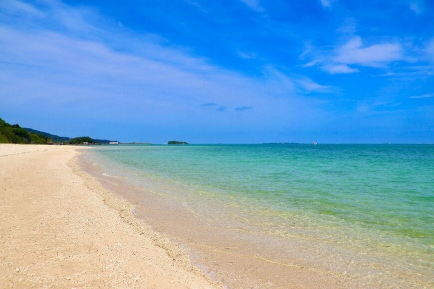 新潟県・親不知海岸で拾った「ビカビカ石」　おいしそうな肉にしか見えないビジュアルが話題「これはA5ランク」