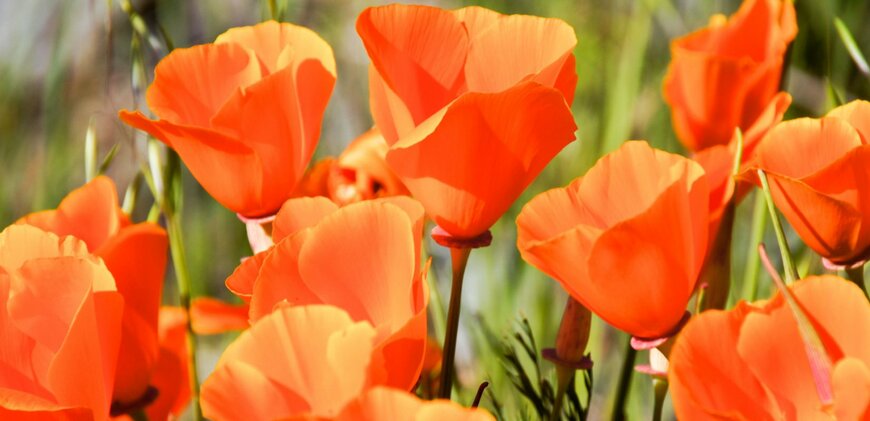 yhelfman/shutterstock.com