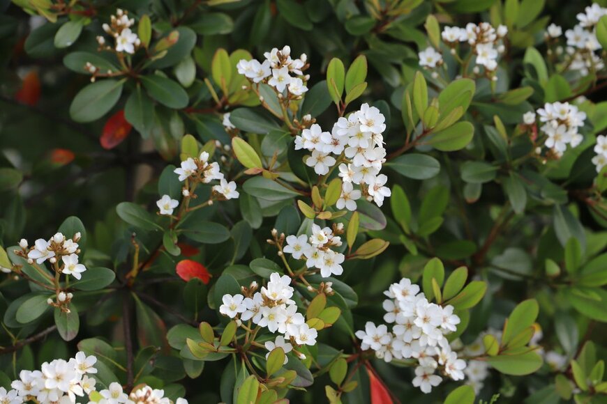 Tasak/shutterstock.com