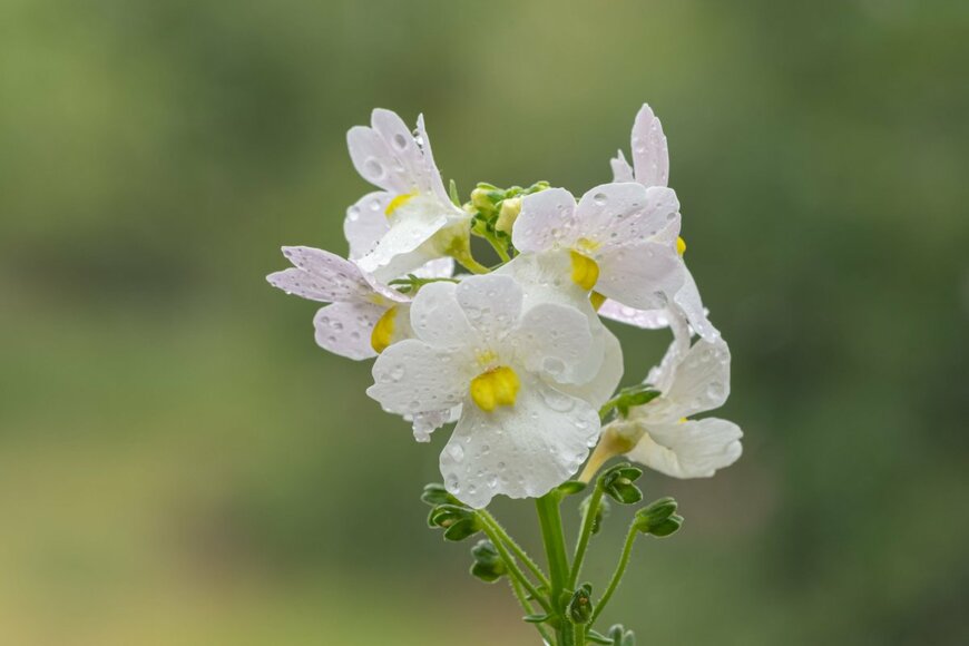 Tom Meaker/shutterstock.com