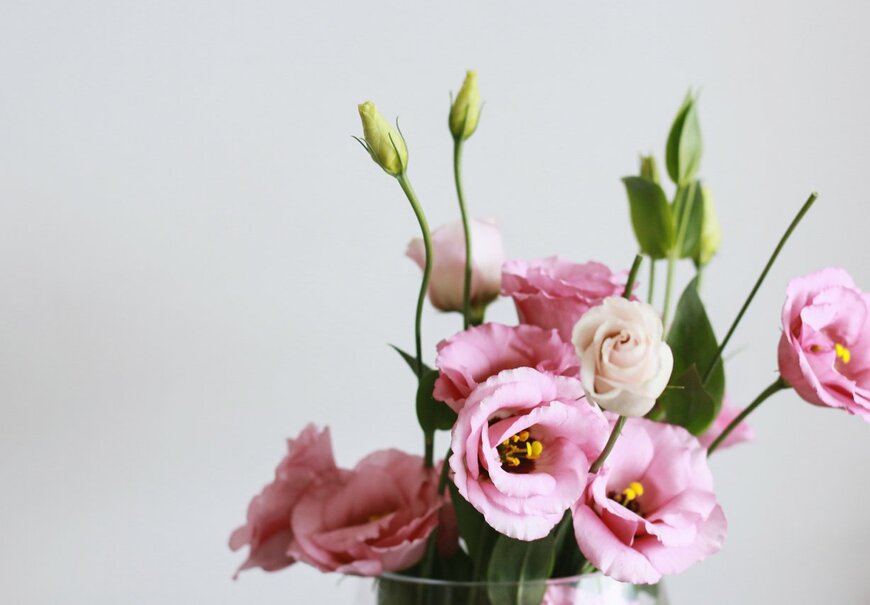 Gabriela Ajoy/istockphoto.com