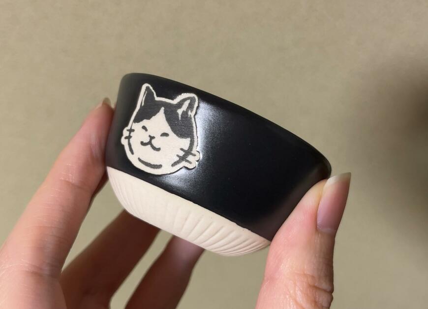 筆者撮影（セリア、ボウルSS　モノトーンねこ）