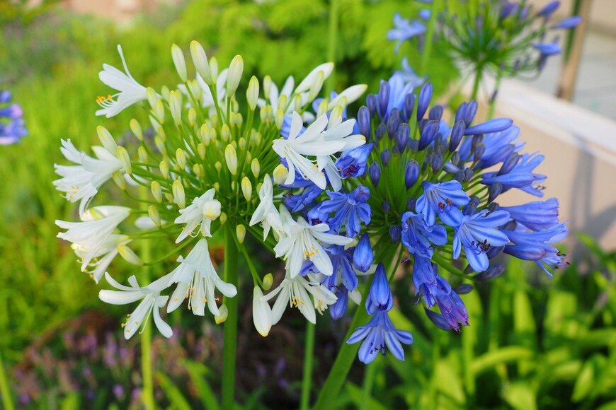 oasis2me/istockphoto.com