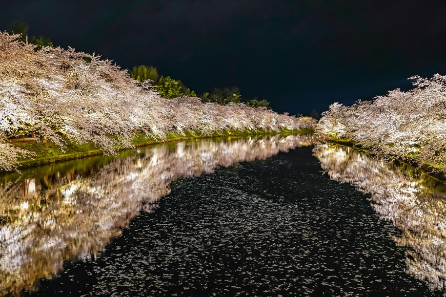 Shawn.ccf/shutterstock.com