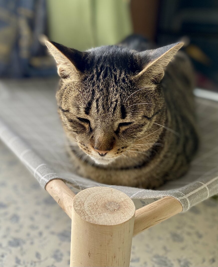 出所：@luna7taka9