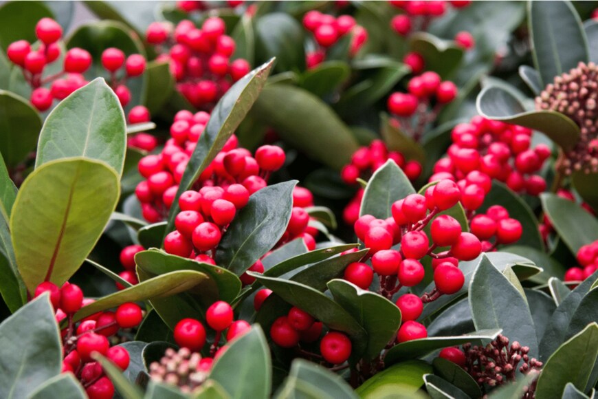 Poly Liss/istockphoto.com