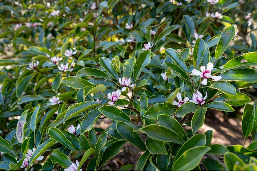 traction/istockphoto.com