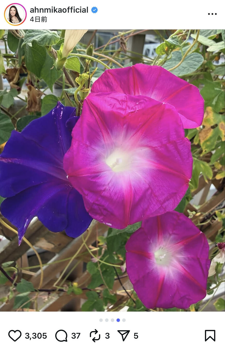 出所：アンミカのInstagram（＠ahnmikaofficial）参照日：2025年10月2日