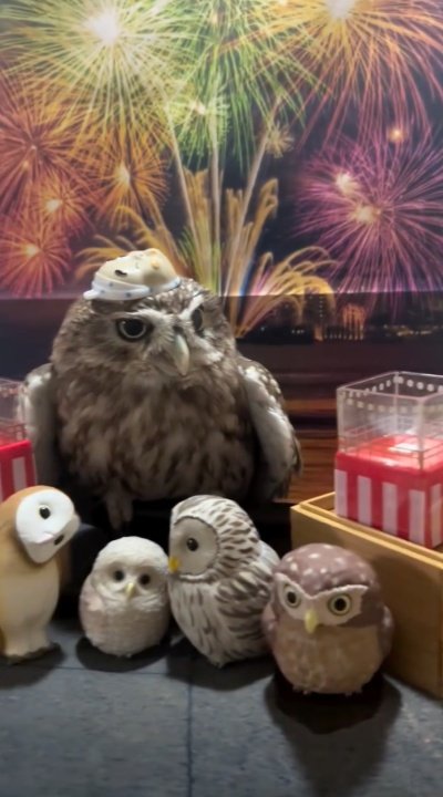 出所：@cr8673.hiro