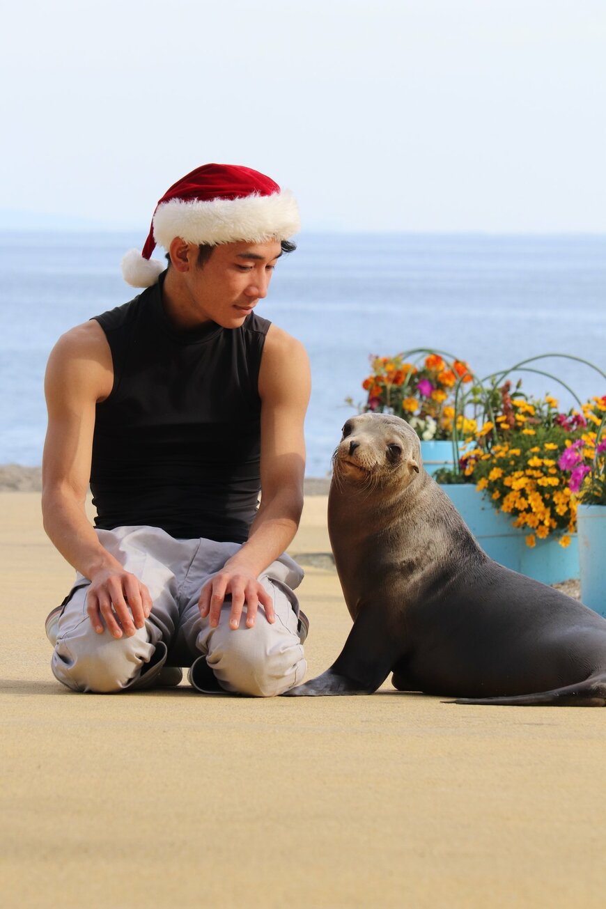 出所：桂浜水族館