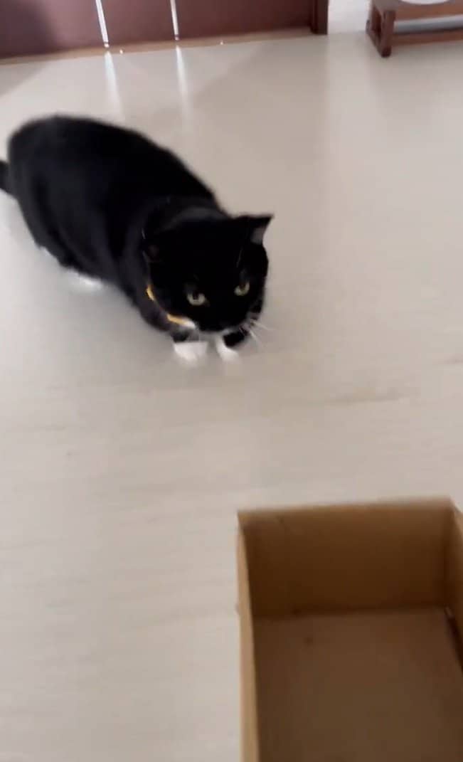 出所：@unicouniuni3