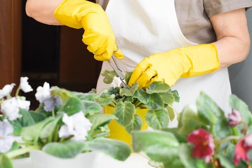 Sergio Photone/shutterstock.com