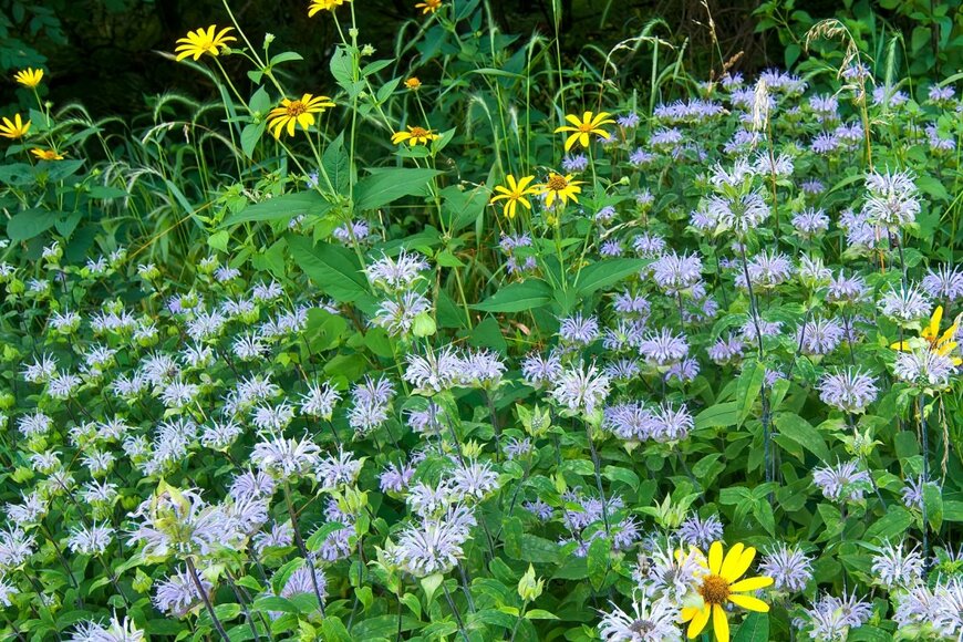 Gerry Bishop/shutterstock.com