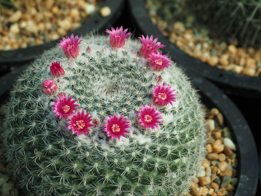 Mon_camera/shutterstock.com