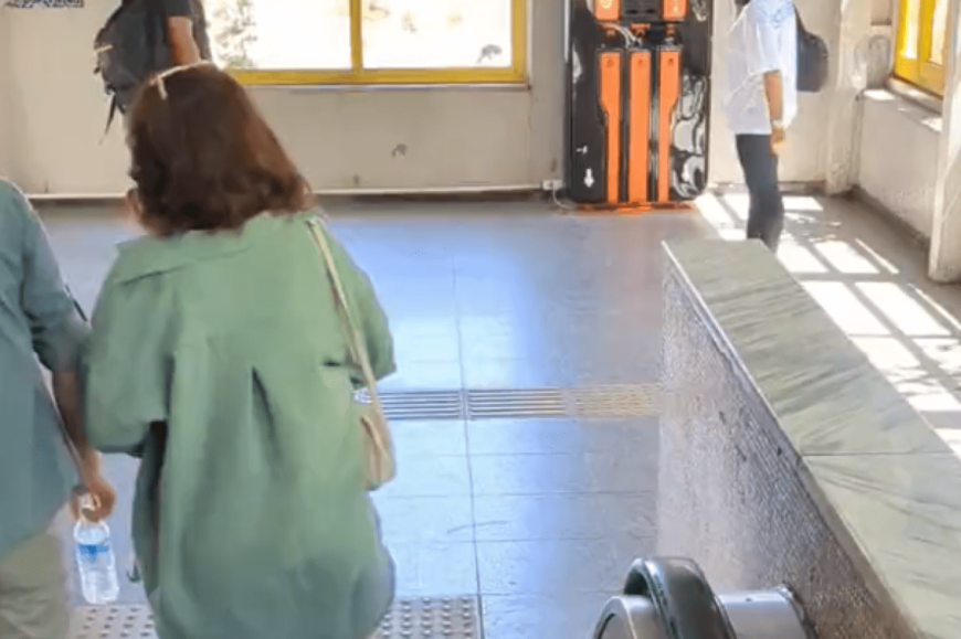 駅のエスカレータで撮影された動画　人が行き交う中でくつろぐ猫が話題に