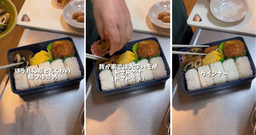 投稿動画のワンシーン