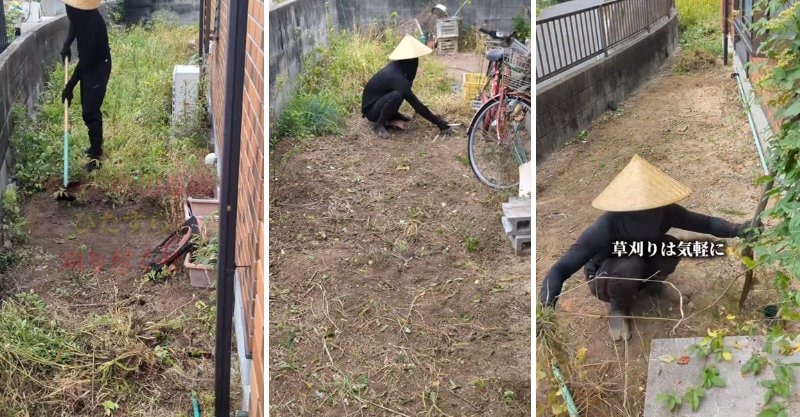投稿の画像