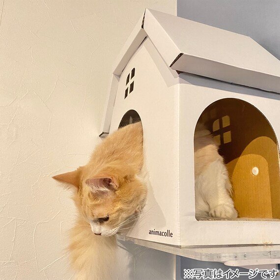 ニトリ、キャットステップanimacolle用爪とぎキャットハウス画像