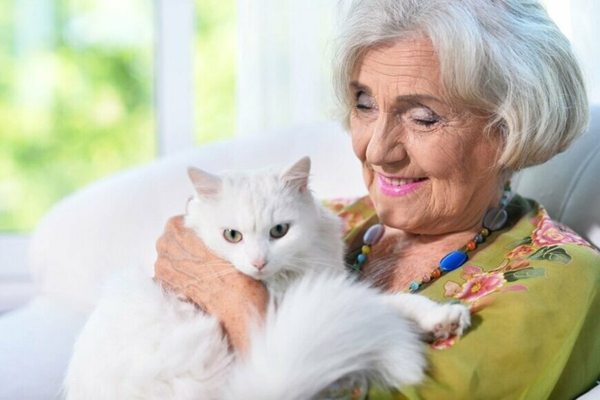 片働き世帯・夫婦世帯の年金額例をチェック