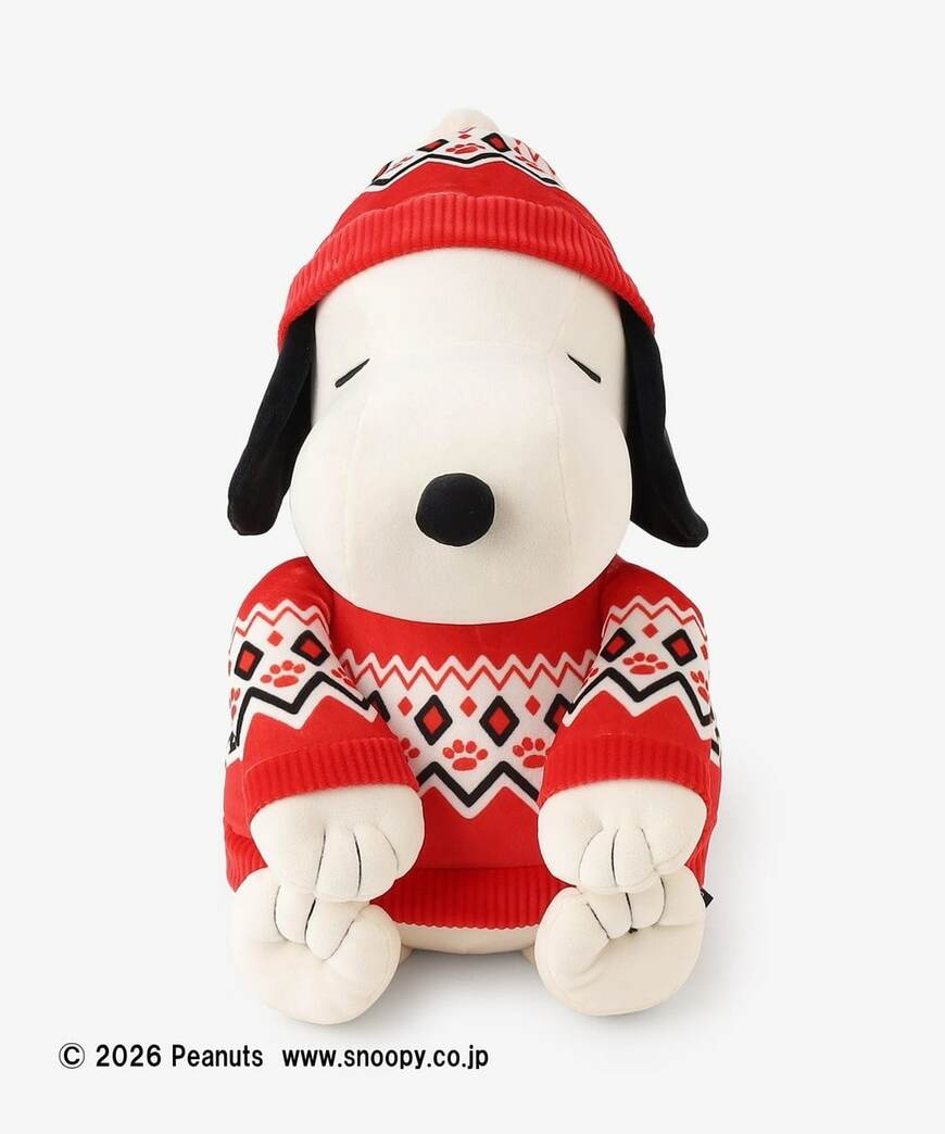 シットアップクッション/PEANUTS