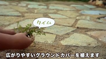 投稿動画のワンシーン