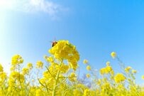 厚生年金を「月平均で10万円」受け取る人は全体の何パーセントか