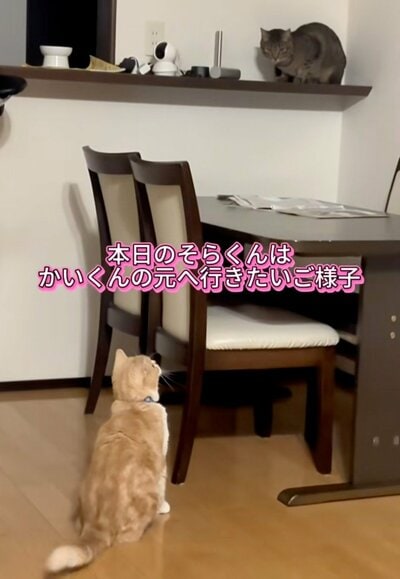 かいくんの場所へ行きたいそらくん