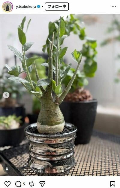 坪倉由幸のInstagram投稿