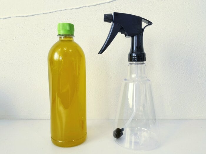 ボトルの底の直径は約9.5cmとスリムなボディが特徴的