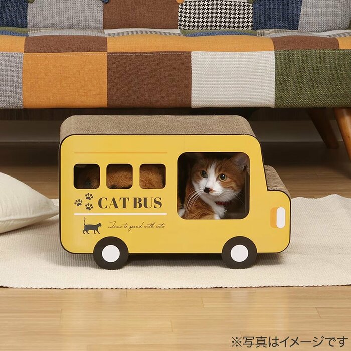 遊び心あふれる写真を撮ることができます