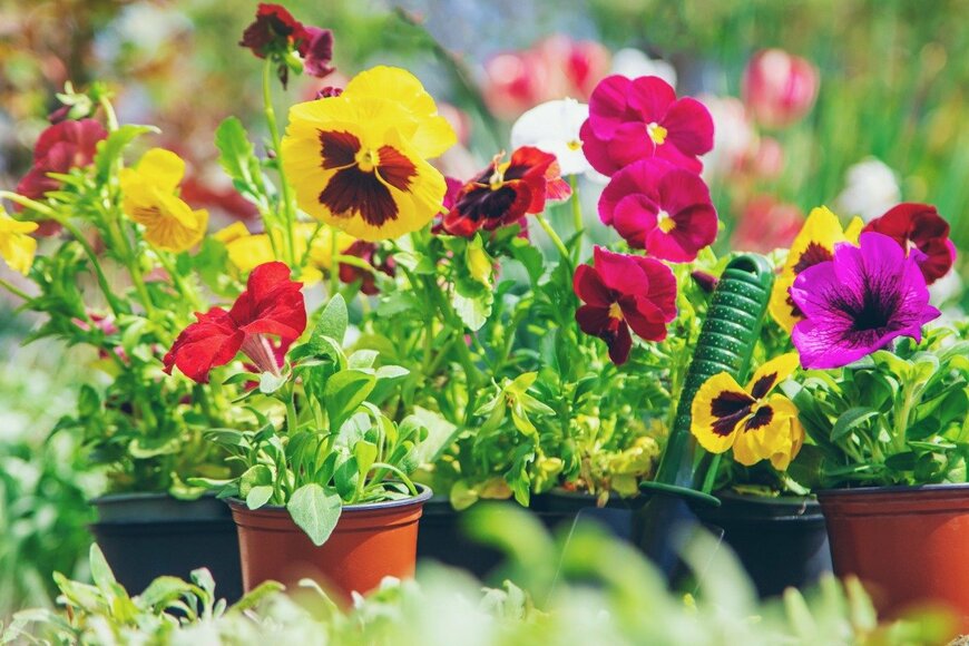 Yana Tatevosian/istockphoto.com