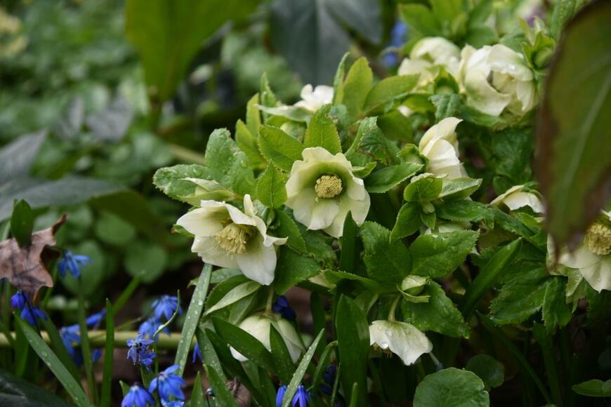 photoPOU/shutterstock.com