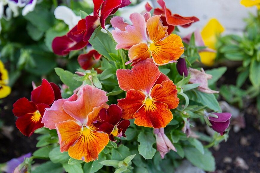 Yasin Caglayan/istockphoto.com