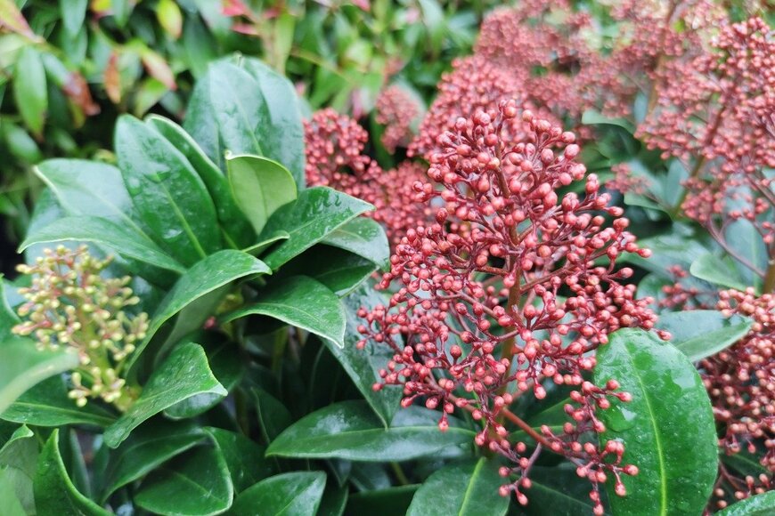 John Caley/istockphoto.com