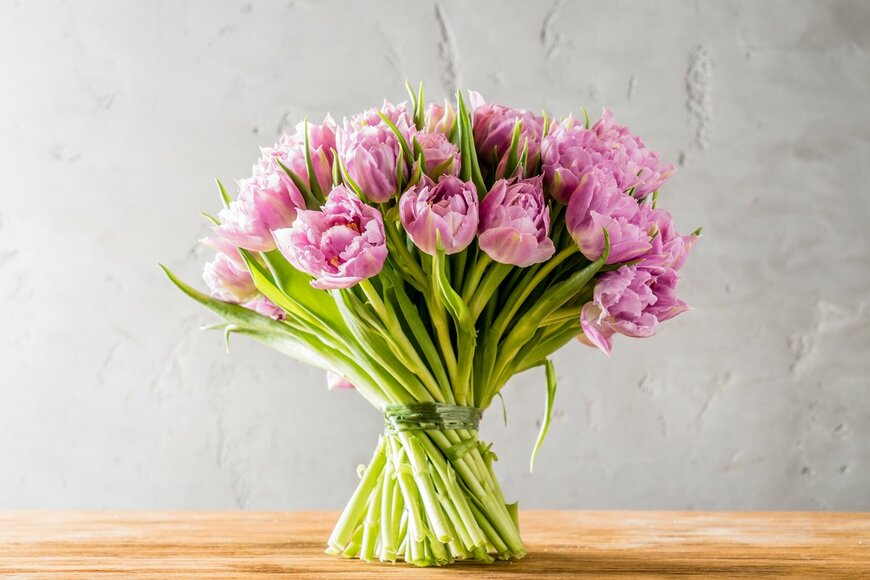 チューリップ（Shebeko/Shutterstock.com）