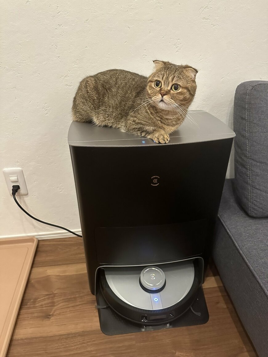 出所：@ponpokopontanu