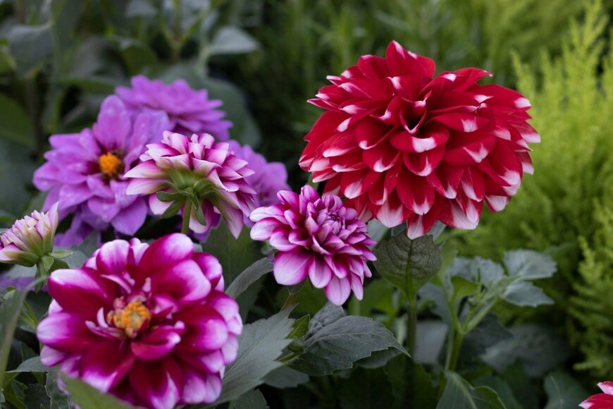 Caner CIFTCI/istockphoto.com