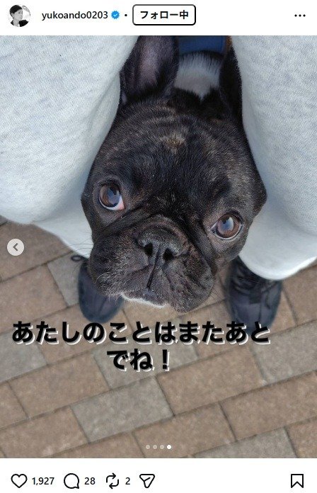 出所：安藤優子のInstagram（＠yukoando0203） 参照日：2026年1月30日