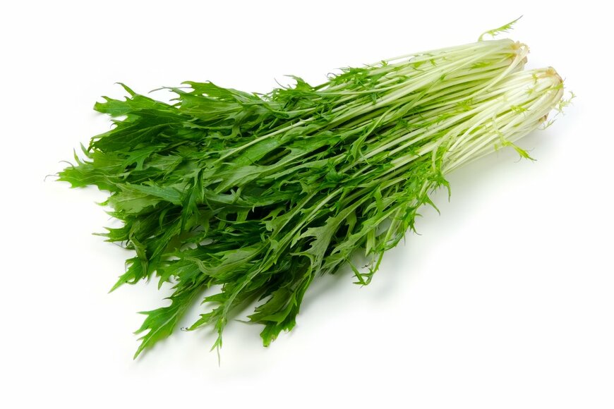 eye-blink/shutterstock.com