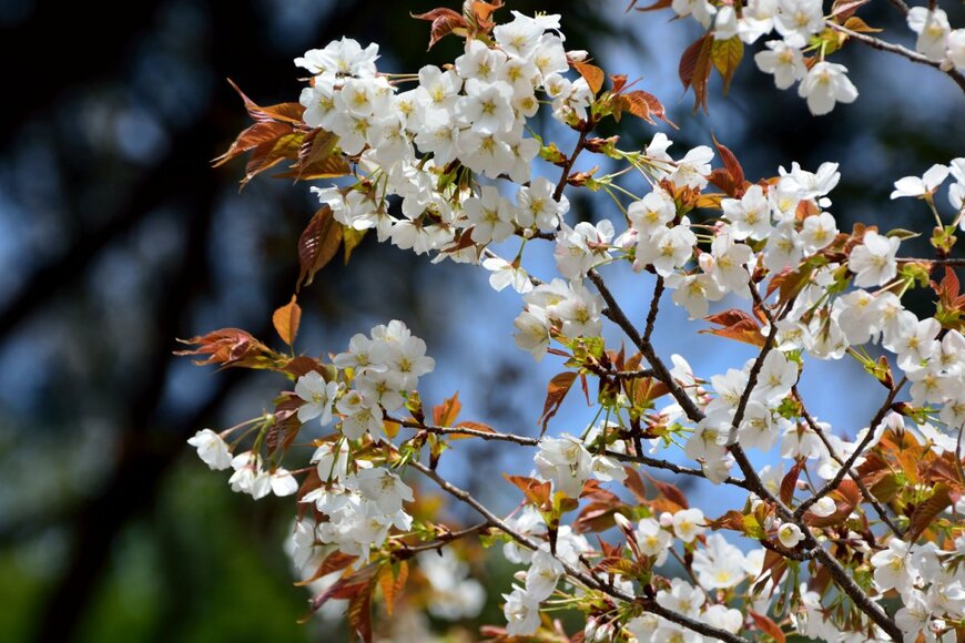 High Mountain/shutterstock.com