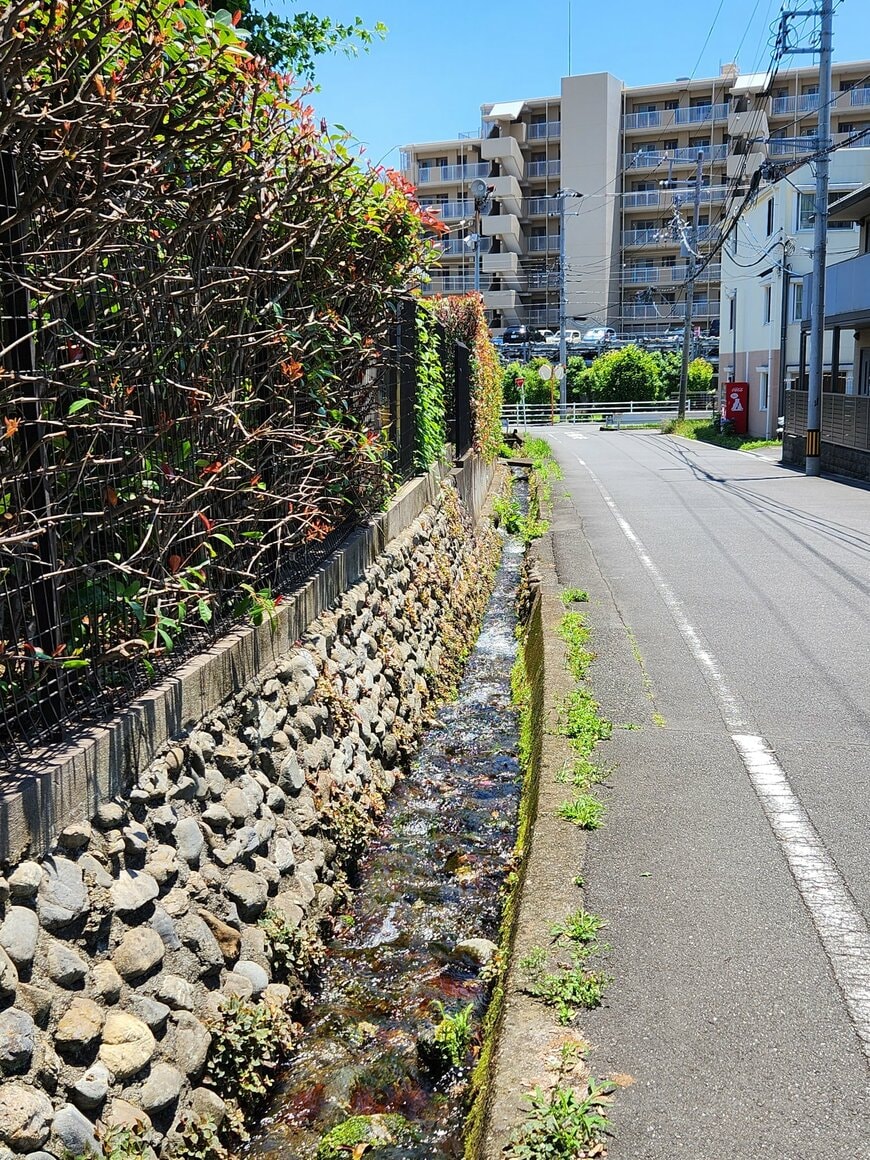 画像出所：@e_ikuon