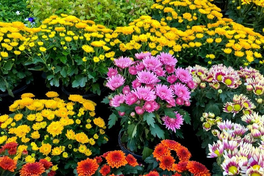 AmyAlyssa/shutterstock.com