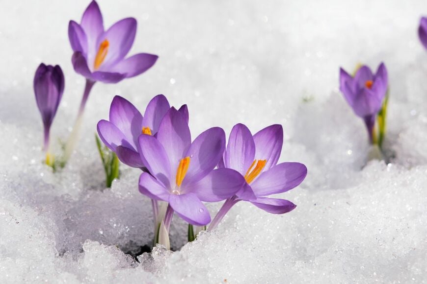 irina02/shutterstock.com