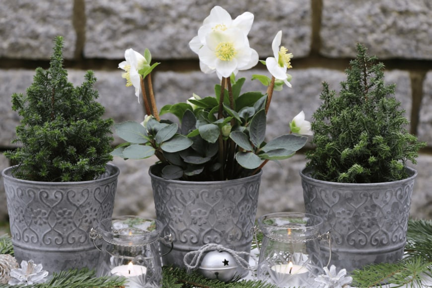 Natalia Greeske/shutterstock.com