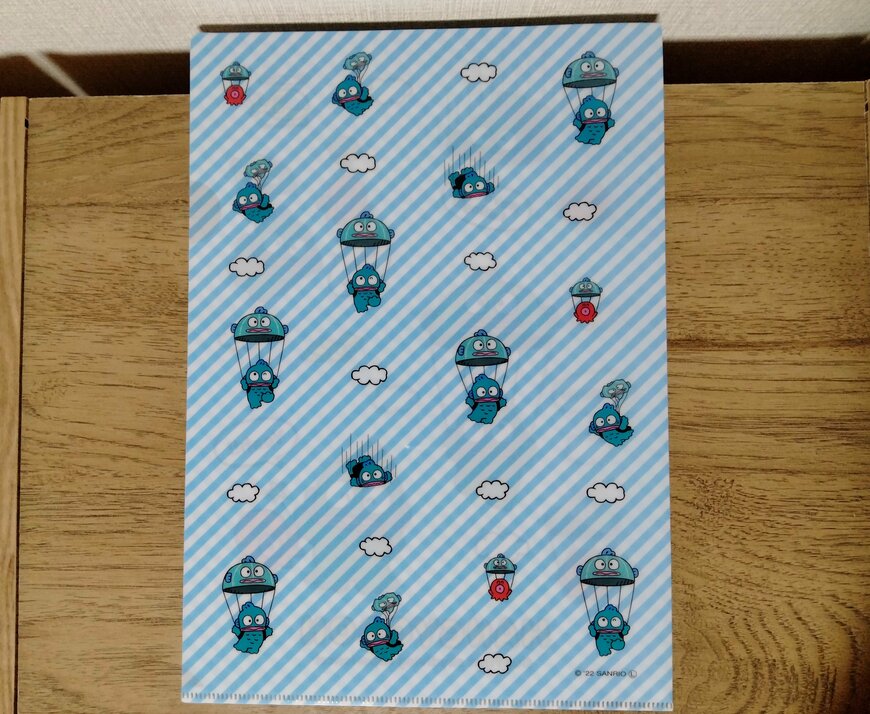 筆者撮影（セリア、A4クリアファイル H/G ポップ）