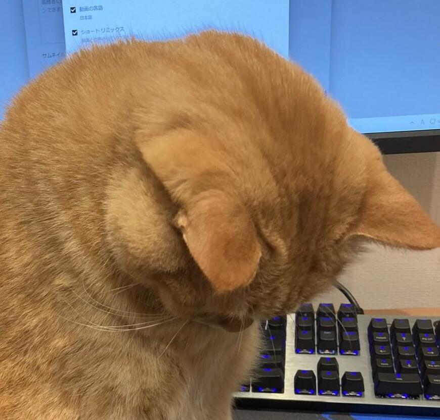 出所：@kagisuzu0531