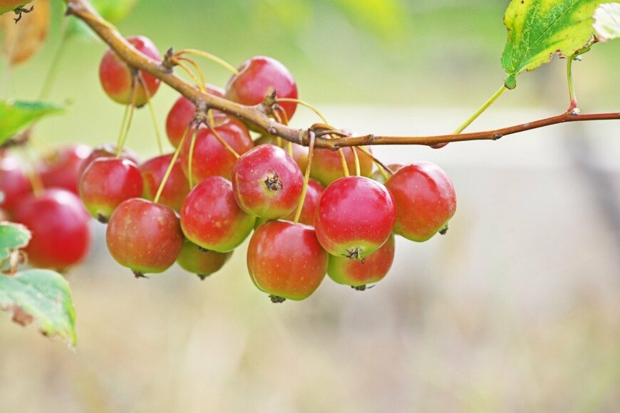 igaguri_1/istockphoto.com