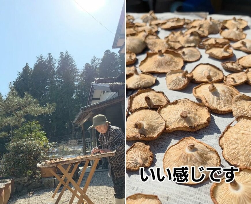 80代のおばあちゃん