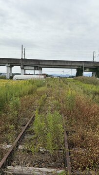 宮城県を走っていた「くりはら田園鉄道」 廃線跡と新幹線が交差するスポットにノスタルジックな風景が広がっていた！