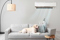 屋内でも熱中症に要注意。エアコンの節電と両立する方法はあるのか